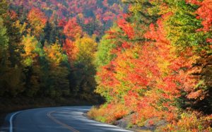 Fall foliage in White Mountains, New Hampshire