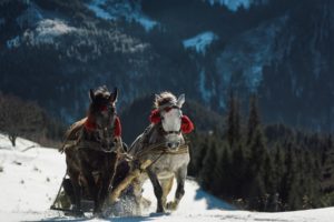 Christmas in the White Mountains