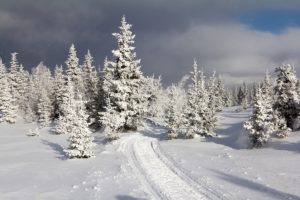 The Best White Mountains Snowmobile Trails Near our Bed and Breakfast