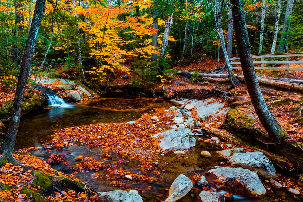 Hike around Franconia Notch State Park and enjoy some of the best New Hampshire Fall Foliage