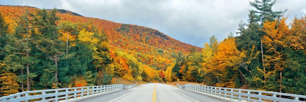 A gorgeous fall drive in the White Mountains in the fall