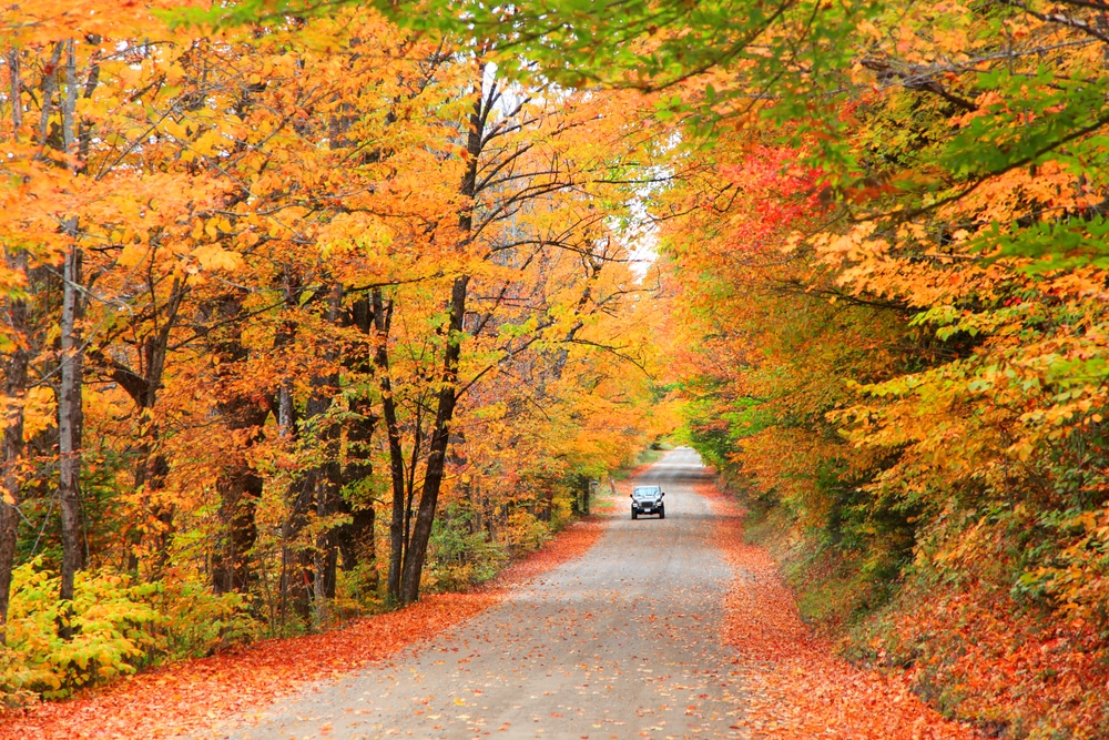 A scenic drive through fall foliage of New Hampshire in fall