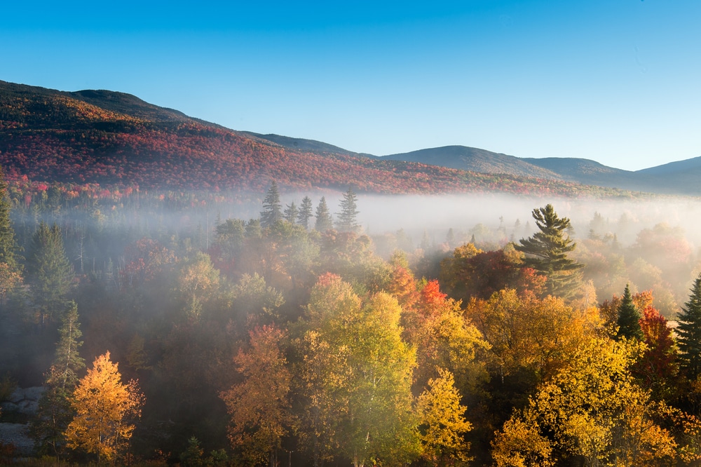 Scenic fall colors in the White Mountains from the Bretton Woods Gondola