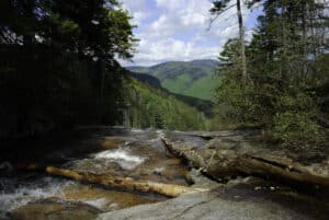 View from the top while hiking to Arethusa Falls, NH