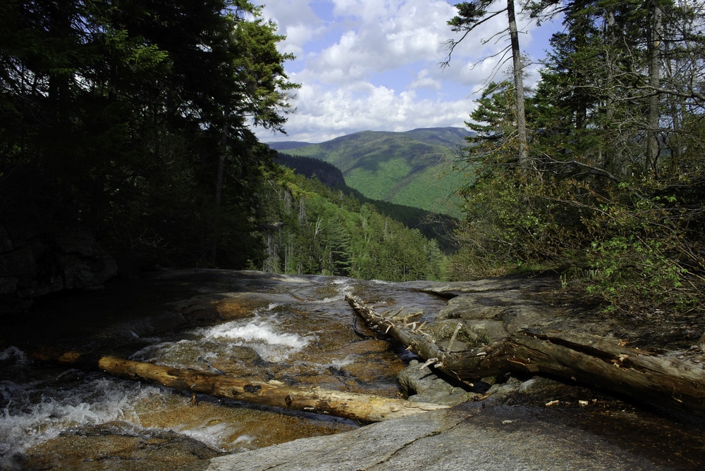 View from the top while hiking to Arethusa Falls, NH