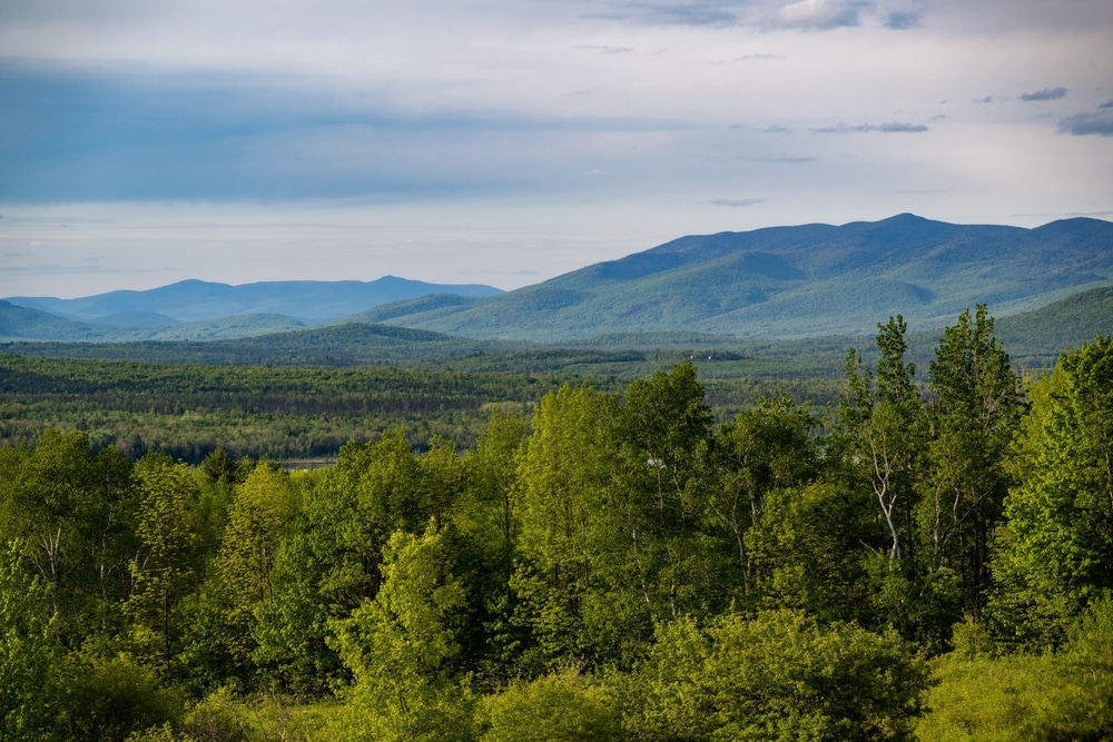 Looking at the White Mountains in New Hampshire, where you'll find great trails at Waterville Valley Ski REsort