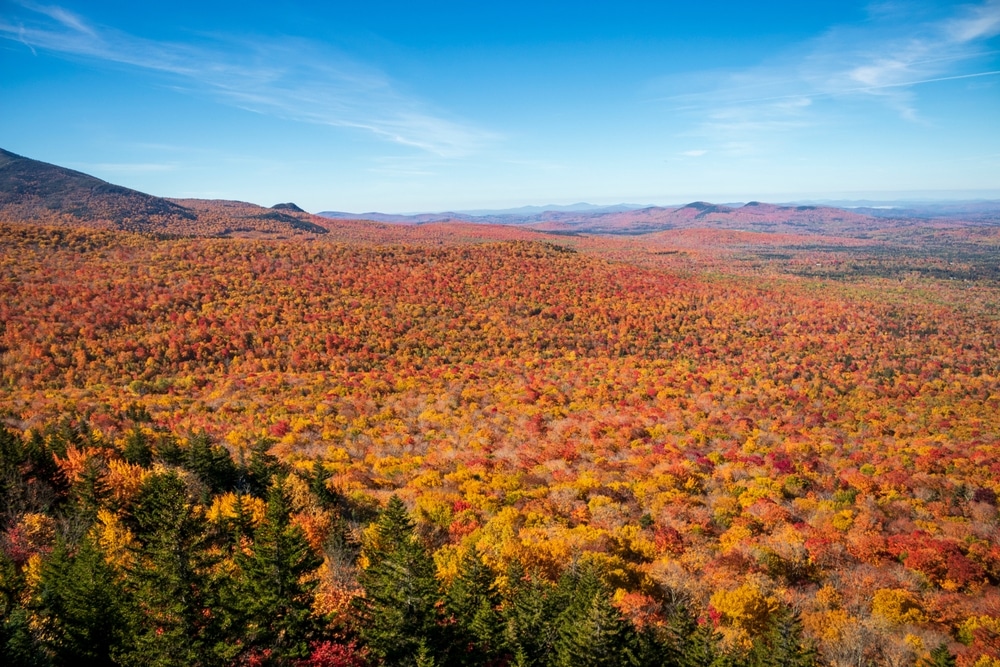 When is peak foliage in New Hampshire? A vast expanse of trees in fall colors and a clear sky.