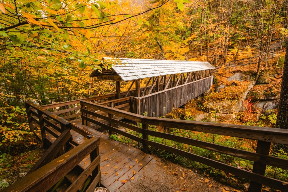 Take a Ride on the Mt. Washington Cog Railway 5 After you ride the Mt. Washington Cog Railway, hike through Franconia State Park, flume gorge. Covered walkway with fall foliage.