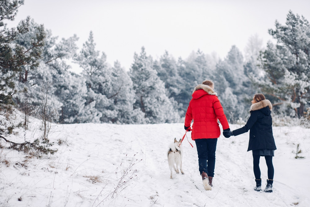 Enjoy the best New Hampshire getaways for couples this winter. A couple walking their dog through a snowy field.